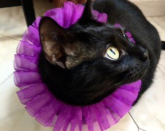 Ruff Collar for Cat