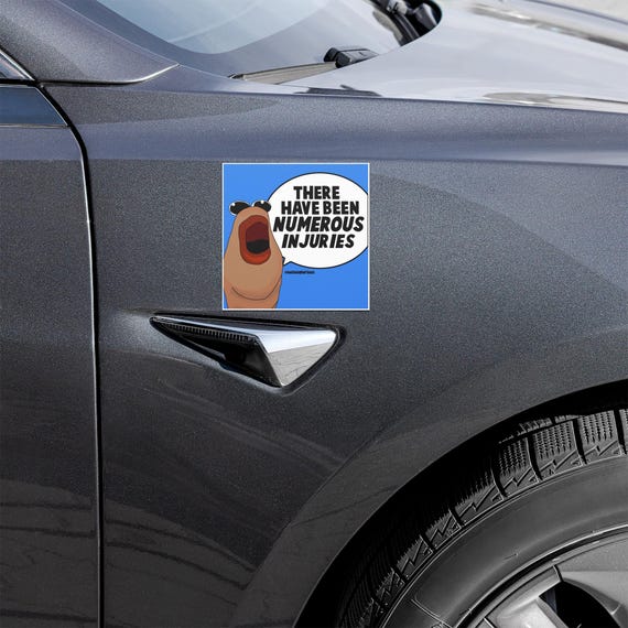 Marcus the Worm Numerous Injuries Robert Funny, Tiktok meme viral, VR Chat Car magnets