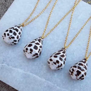 Real Natural White Black Hebrew Cone Conch Shell Seashell Ocean Beach Hawaii Island Summer Hawaiian Pendant Gold Charm Necklace 22&quot;