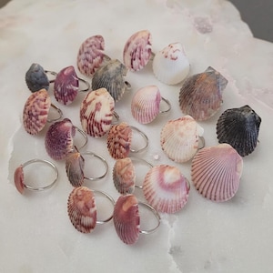 Real Natural Small Scallop Seashell Shell Ocean Mermaid Island Beach Summer Florida Sea Tropical Statement Jewelry Silver Adjustable Ring