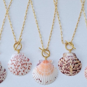 Real Natural Seashell Scallop Shell Florida Beach Ocean Island Summer Mermaid Paperclip Chain Gold Toggle Clasp Charm Necklace 18.5&quot;