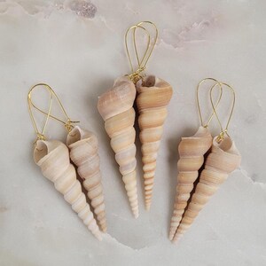 May include: Three pairs of seashell earrings with gold-colored ear wires. The seashells are a natural beige color with spiral patterns. The earrings are displayed on a light-colored, marble-like surface.