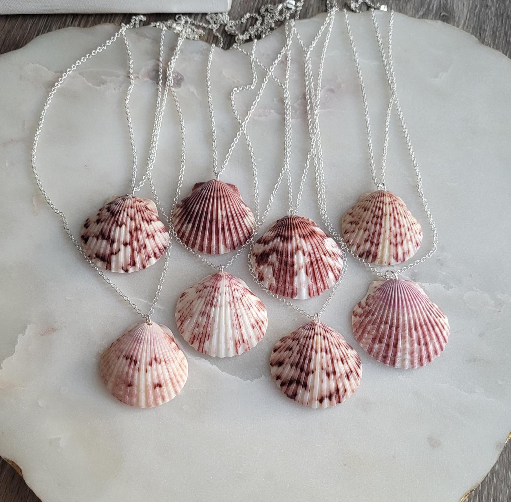 Real Natural Florida Seashell Shell Clam Scallop Island Beach Mermaid ...