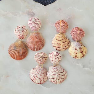 Op de afbeelding: Zes paar schelpoorbellen in verschillende tinten roze, oranje en crème. Elke oorbel heeft een kleine, ronde schelp aan de bovenkant en een grotere, waaiervormige schelp eronder, verbonden door een goudkleurige sluiting. De schelpen hebben natuurlijke patronen.