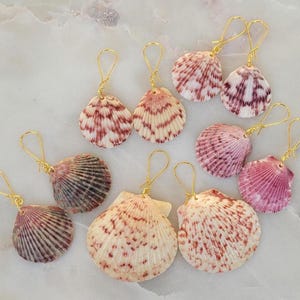 Echte natürliche Calico Pink Lila Florida Seashell Shell Jakobsmuschel Ozean Strand Mermaid Sommerinsel Sea Surf Hoop Gold baumeln Ohrringe 2,3 &quot;