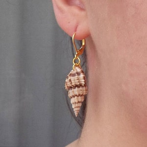 Real Natural Tan Cone Conch Shell Seashell Unicorn Horn Ocean Beach Island Summer Mermaid Sea Hawaii Bohemian Gold Dangle Earrings 1.7"