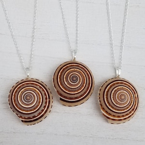 Real Natural Brown Sundial Shell Seashell Sun Dial Florida Beach Ocean Sea Island Summer Mermaid Tropical Jewelry Silver Charm Necklace 18&quot;