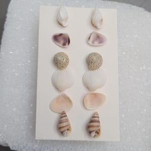 Conjunto de pendientes con forma de concha marina pequeña y natural auténtica, estilo bohemio, tropical, costero, estilo sirena, estilo océano, playa