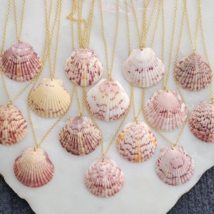 Real Natural Vibrant Florida Scallop Shell Seashell Island Ocean Beach Mermaid Summer Sea Tropical Jewelry Gold Charm Necklace 18&quot;