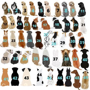 May include: A chart of 49 different dog breeds, each illustrated in a cartoon style, sitting in a row. The dogs are numbered 1 through 49.