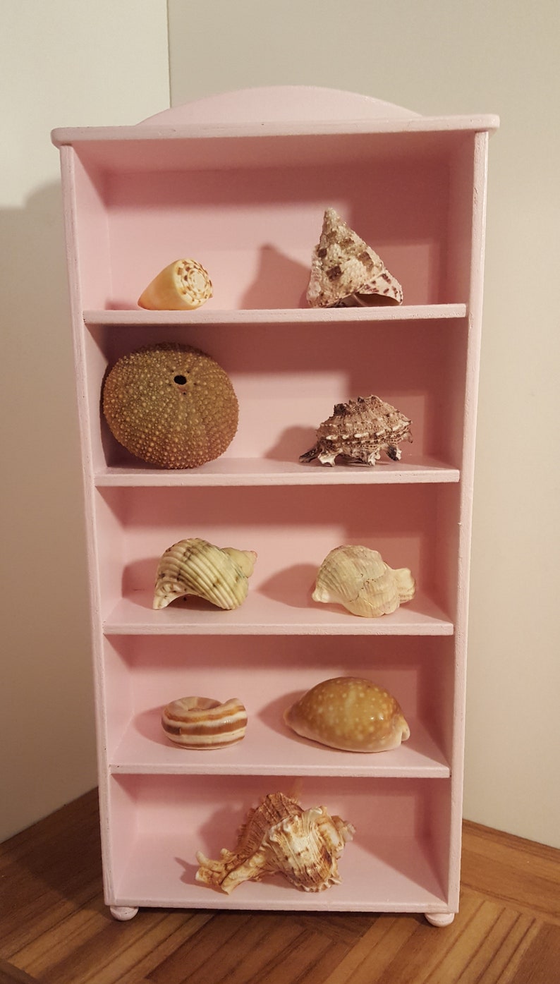 Pink Display Shelves/ Pink Shelf/ Wooden Shelving/ Collection Etsy