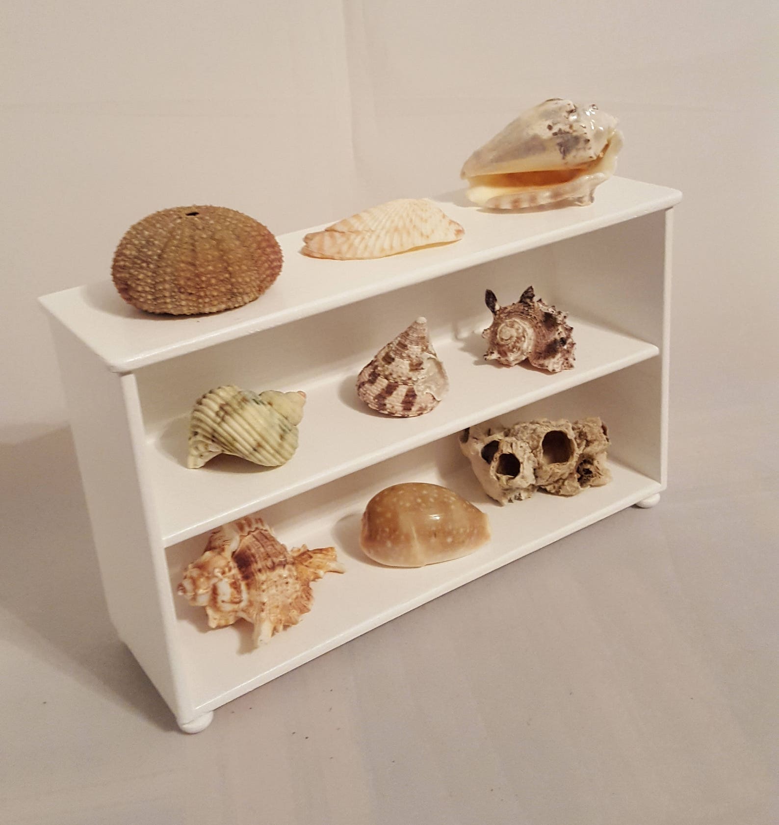 White Display Shelves/ Collectible Display/ Collection Shelf/ Etsy