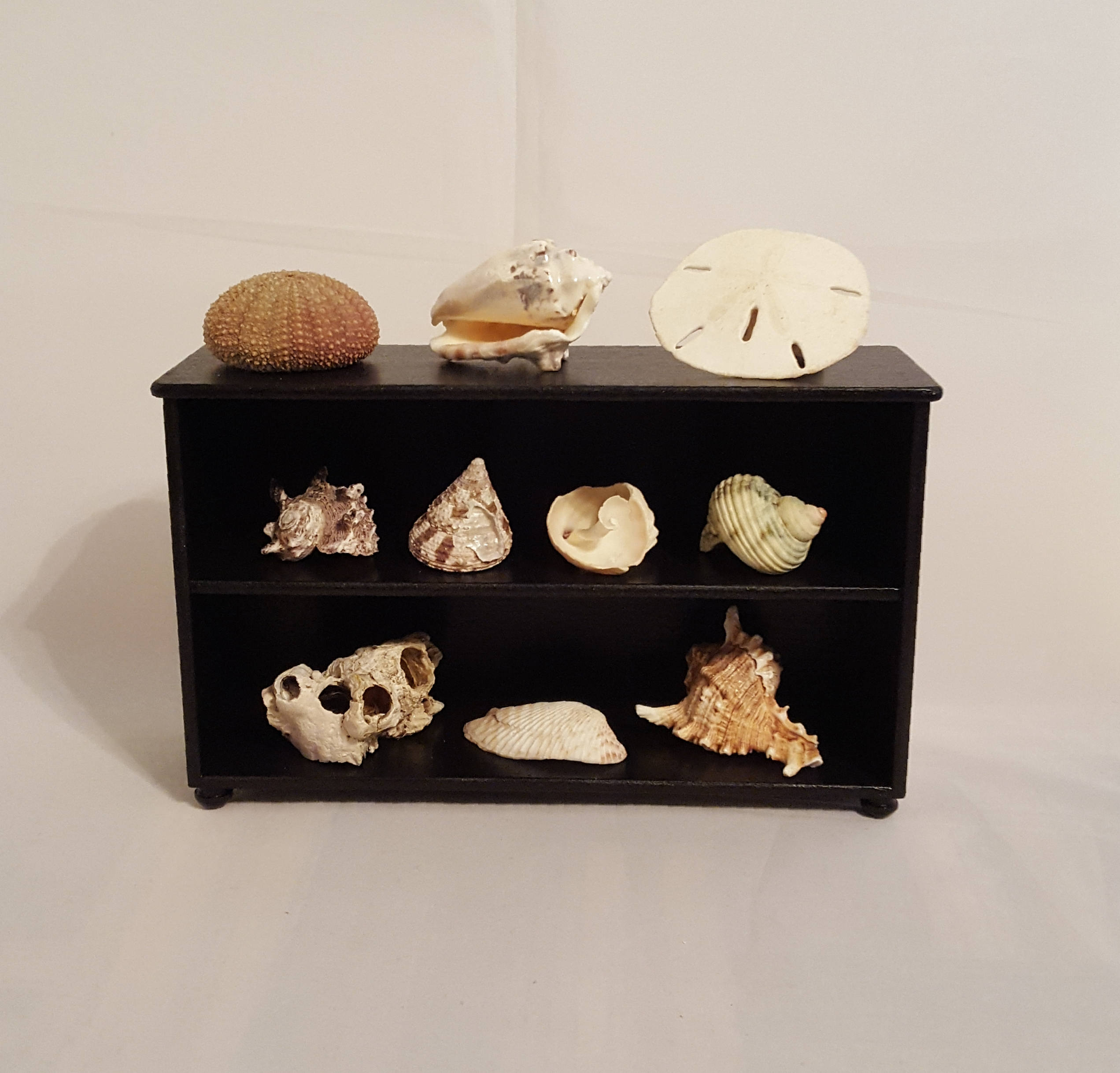 Black Display shelves/ collectible display/ collection shelf/ Etsy