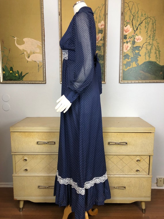 1970s Vintage Boho Style Maxi Dress -- Swiss Dot … - image 5