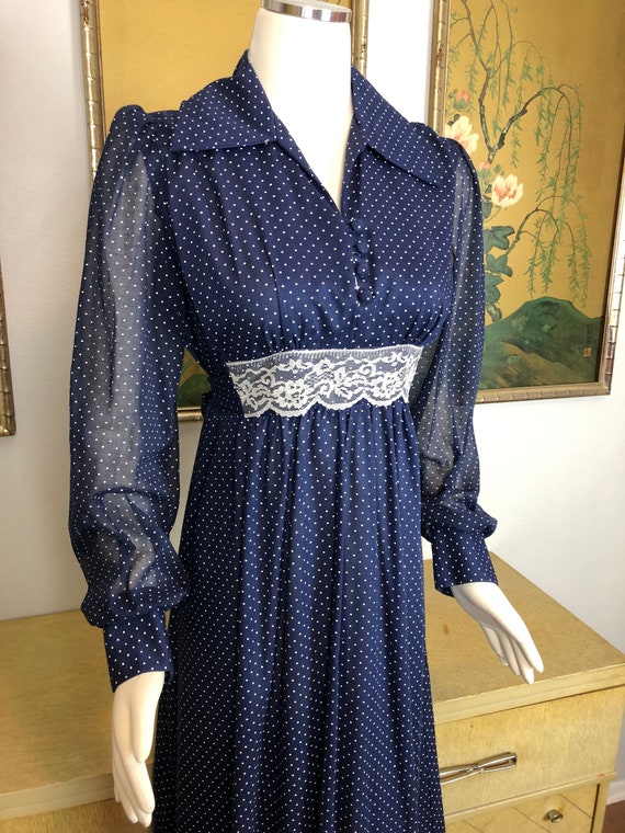 1970s Vintage Boho Style Maxi Dress -- Swiss Dot … - image 4