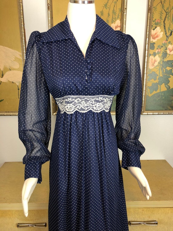 1970s Vintage Boho Style Maxi Dress -- Swiss Dot … - image 3