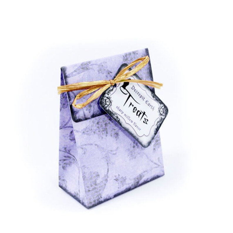 Puede incluir: Una peque&ntilde;a bolsa de regalo morada con una cinta dorada y una etiqueta que dice "Decrepit Earth Treats sabor a moho agudo".