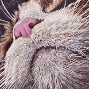 Kitteh cat face drawing, "Kitteh" by Tanya Magdalena