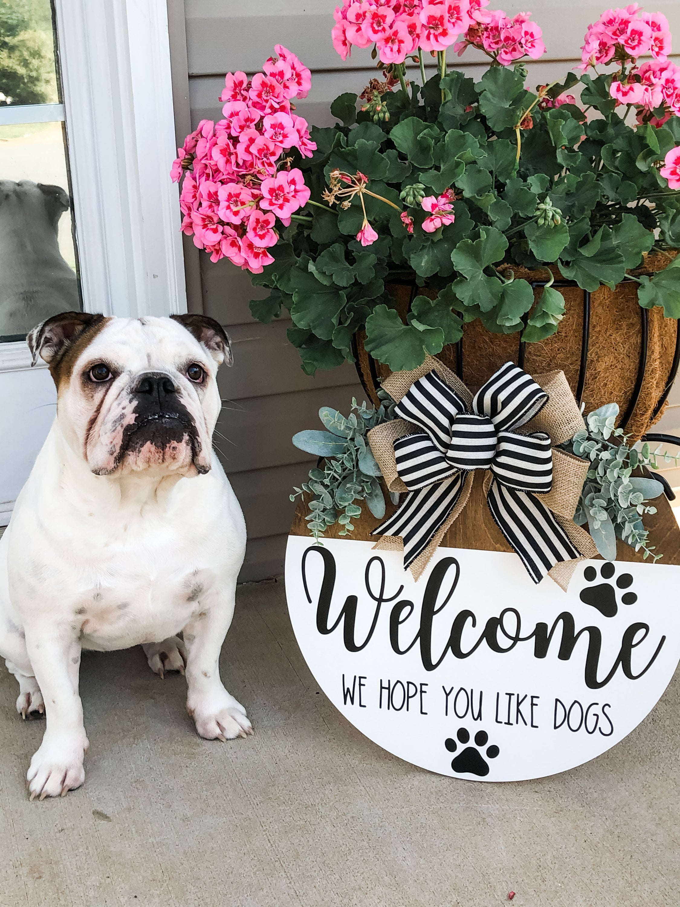 OFFERS ALWAYS WELCOME ? All-Dogs-Welcome-Funny-Pet-  main image 2
