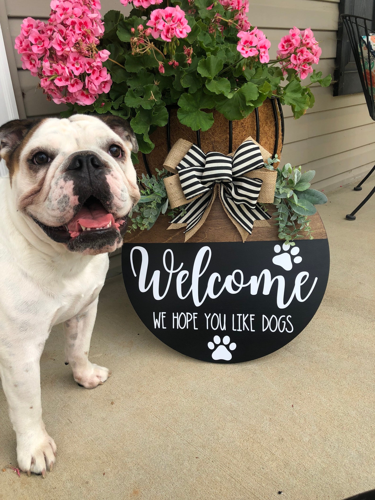 Front Door Dog Sign We Hope You Like Dogs Pet Sign Etsy