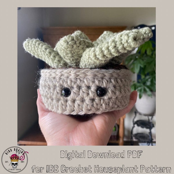 Succulent House Plant Crochet Pattern PDF Digital Download - “Succa” from IBB Houseplant Menagerie Collection