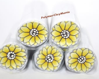 Canne polymère Fleur jaune type marguerite/ canne crue / Vente à l'unité