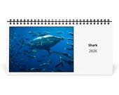 Shark 2026 Desk Calendar 