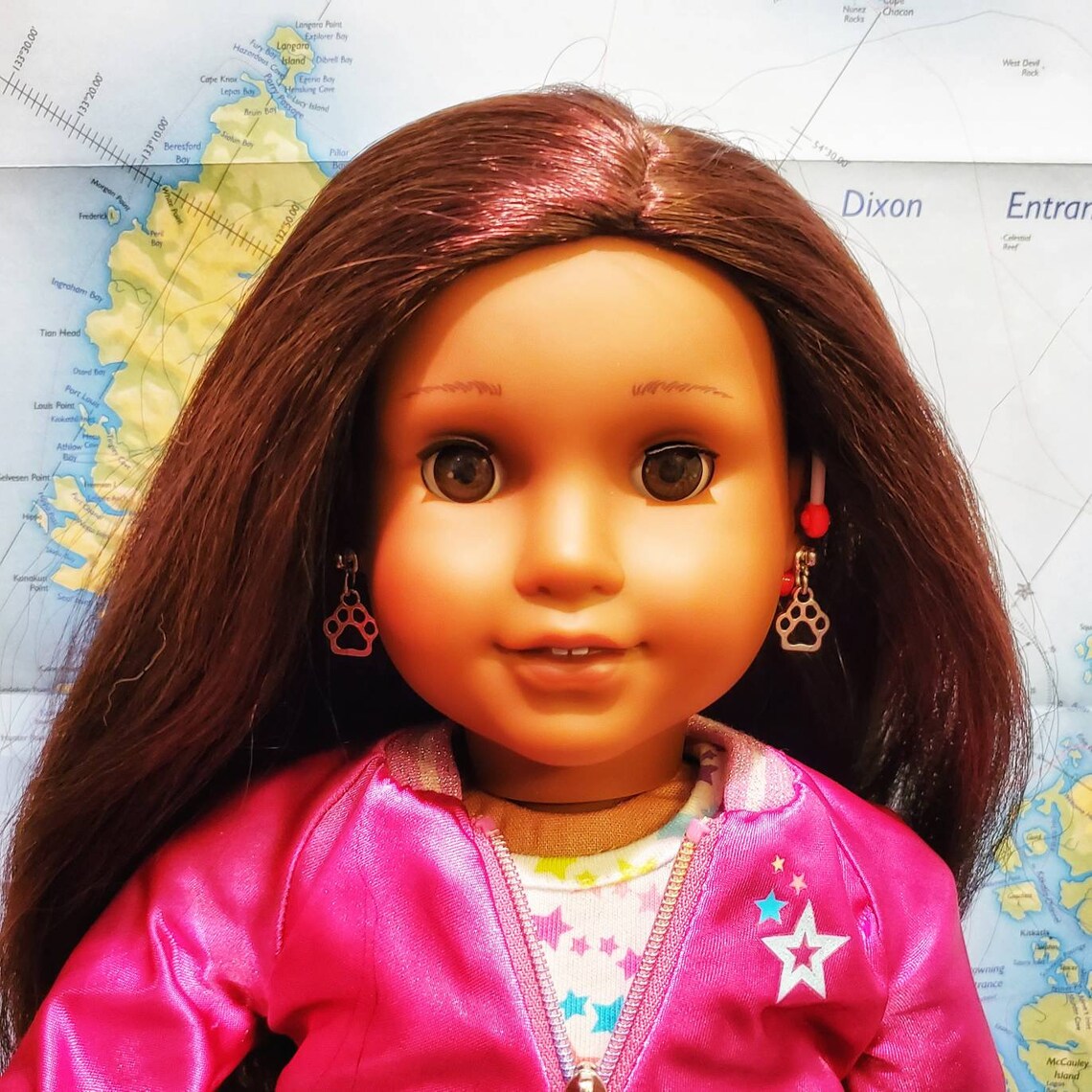 New Handmade American Girl Doll Earrings Silver Dog Cat Etsy