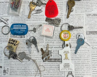 May include: A collection of various metal keys attached to assorted plastic and metal keychains, including a red West View Golf Club tag, a blue Annie Rae Geo tag, a State Farm square tag, and a white Linger Longer Resort number one keychain.