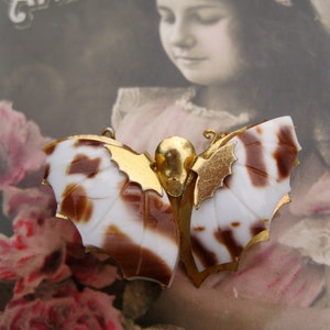 Butterfly Shell Vintage Brooch