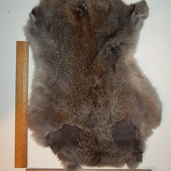 Echte echte natürliche Kaninchen Haut/Pelt/Hide/Fur #1 - Präparatoren, Leathercrafters, Handwerk, Rendezvous, gebräunt, "NEU"