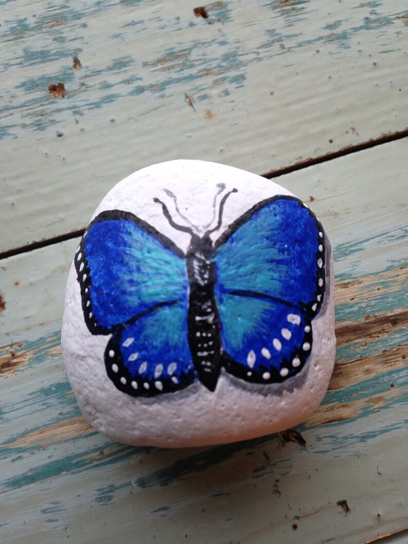 Painted Rock Blue Butterfly PAPERWEIGHT Painted Rock | Etsy