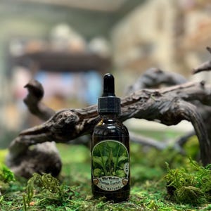 May include: A dark brown glass bottle with a black dropper top. The bottle is labeled "Wild Wisdom Plantain Tincture All Natural". The label features a green illustration of a plantain plant.