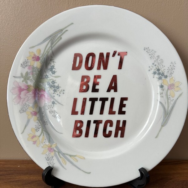 Little Bitch Rude Vintage Plate Decor,Upcycled Vintage Swear  Plate