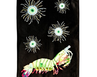 mantis shrimp etsy