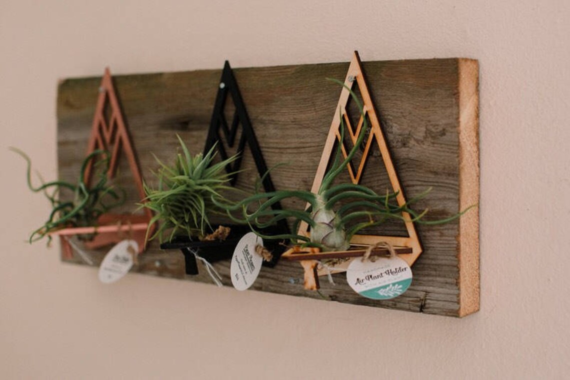 Triangular Air Plant Holder Geometric Lasercut Wood with Air Etsy