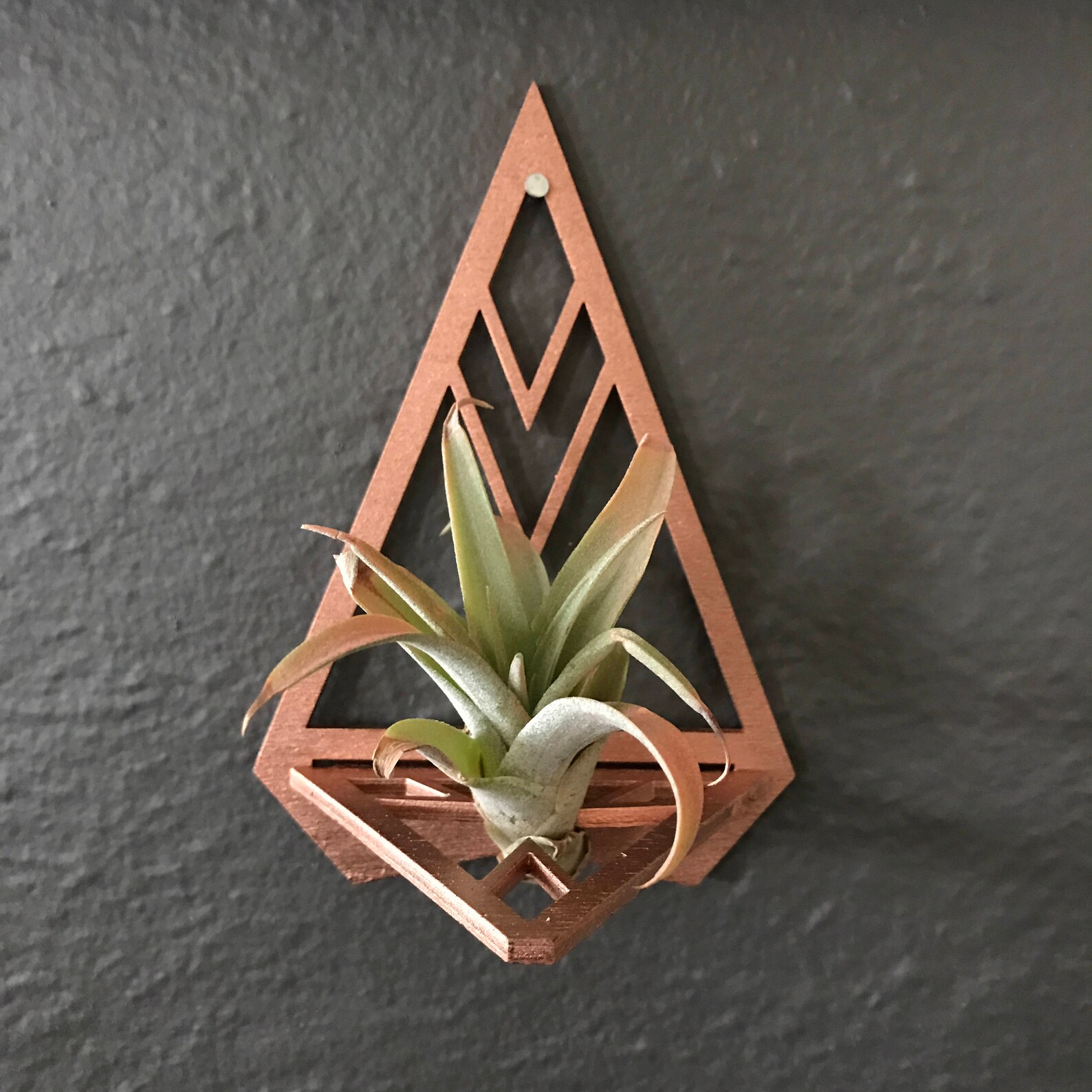 Triangular Air Plant Holder Geometric Lasercut Wood With Air Etsy