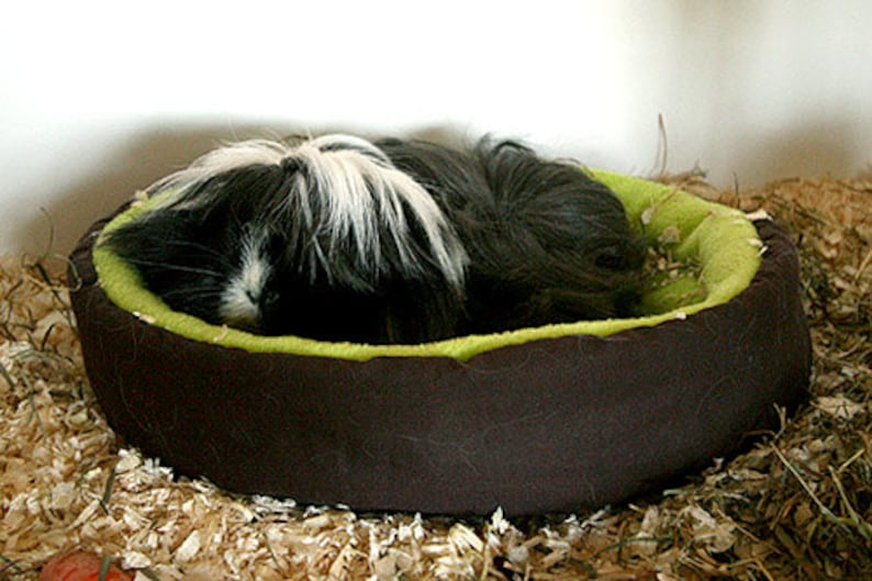 guinea pig bed, hedgehog bed, pet bed, cosy cuddle cup, fleece sofa, carrot bed for guinea pigs or hedgehogs image 3