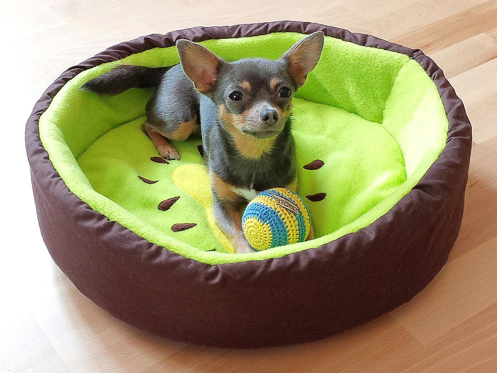 Obstbettchen Kiwi für Katzen und Hunde 3 Größen Etsy