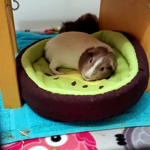 guinea pig bed, hedgehog bed, pet bed, cosy cuddle cup, fleece sofa, carrot bed for guinea pigs or hedgehogs image 4