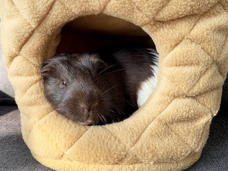 Hedgehog house guinea pig bed pet bedding small animal fleece Etsy
