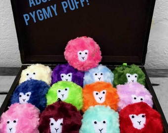 Pygmy Puff Plushie, Witch or Wizard Pet, Magical Creatures