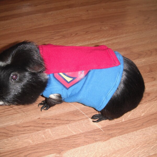 Superman Guinea Pig Shirt with Cape