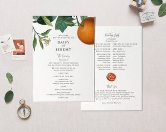 Printable Orange Wedding Program Template Printable Botanical Citrus Instant Download Digital Editable Florida California, Daisy Templett