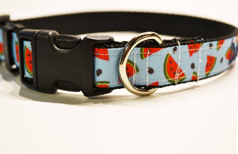 Personalized Dog Collar / Watermelon Dog Collar / Pets / Etsy