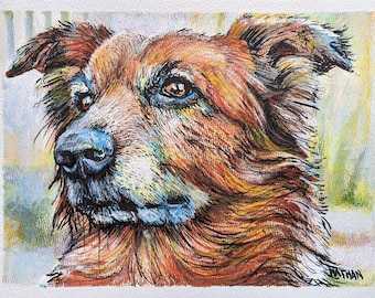 Retrato de mascota personalizado: dibujo a color en papel de 9 x 12