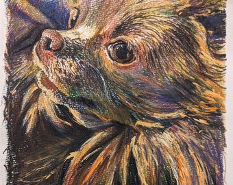 Custom Pet Portrait - Color Drawing on 9 x 12 Paper