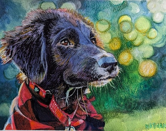 Custom Pet Portrait - Color Drawing on 9 x 12 Paper