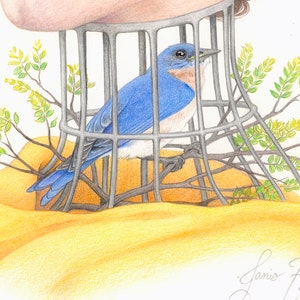 May include: A bluebird is trapped inside a wire cage, with green foliage surrounding it. The bird's head is turned to the right, and its beak is open. The cage is made of metal wire and is attached to a yellow surface. The artist's signature, "Janis Fowler 2022", is visible in the lower right corner.