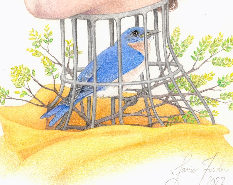 May include: A bluebird is trapped inside a wire cage, with green foliage surrounding it. The bird's head is turned to the right, and its beak is open. The cage is made of metal wire and is attached to a yellow surface. The artist's signature, "Janis Fowler 2022", is visible in the lower right corner.